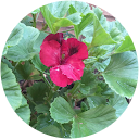 Nayibe Aguilar Nayibe Aguilar